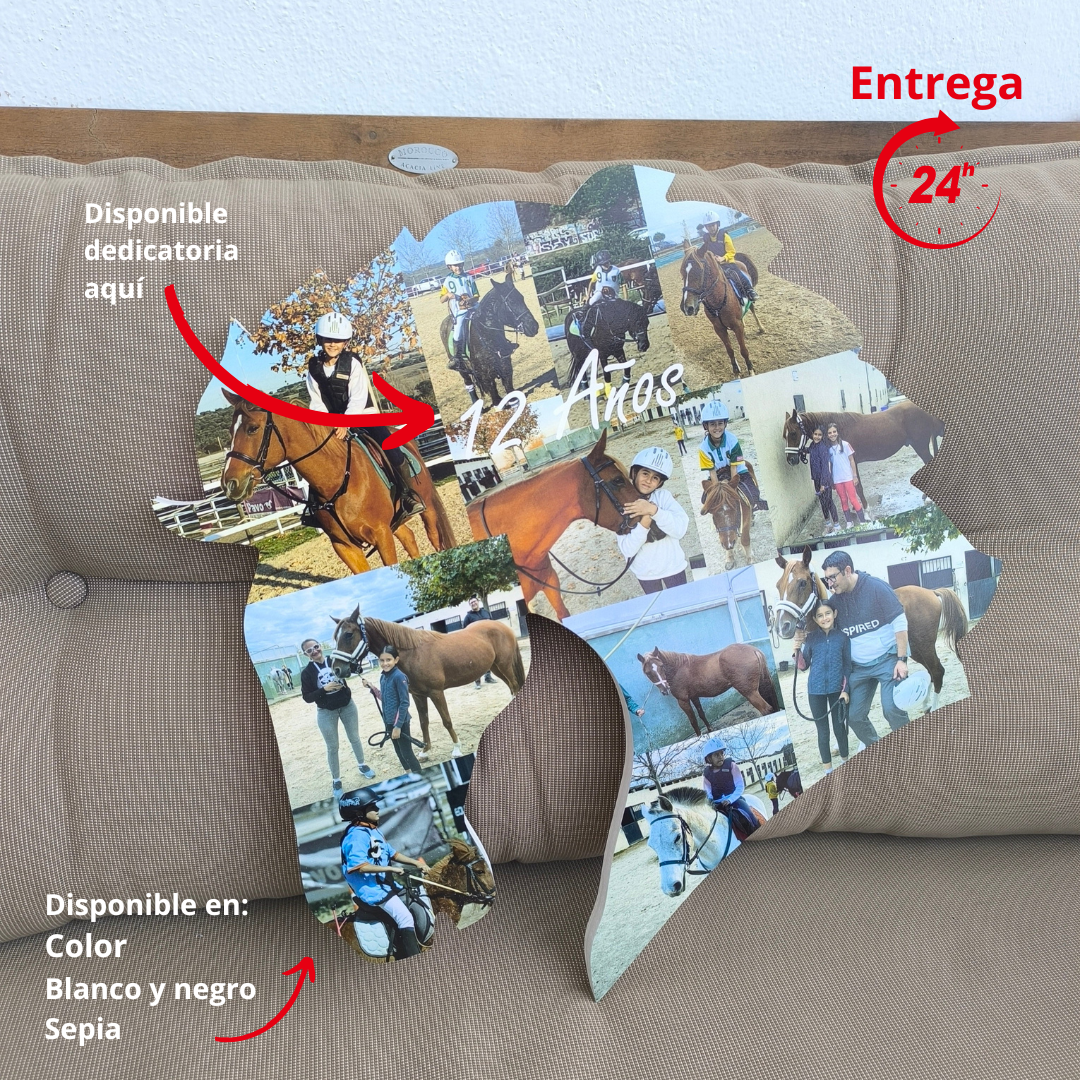 Estatueta de cavalo com fotografias